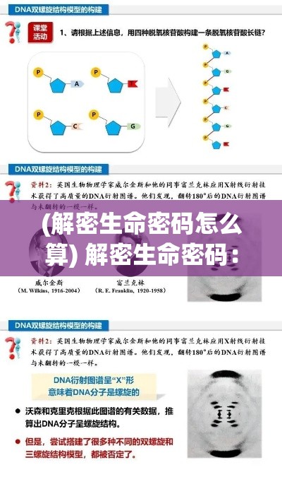 (解密生命密码怎么算) 解密生命密码：基因特工驾到，揭秘遗传工程背后的科技革命